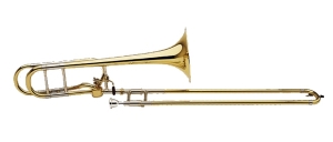 Anteprima